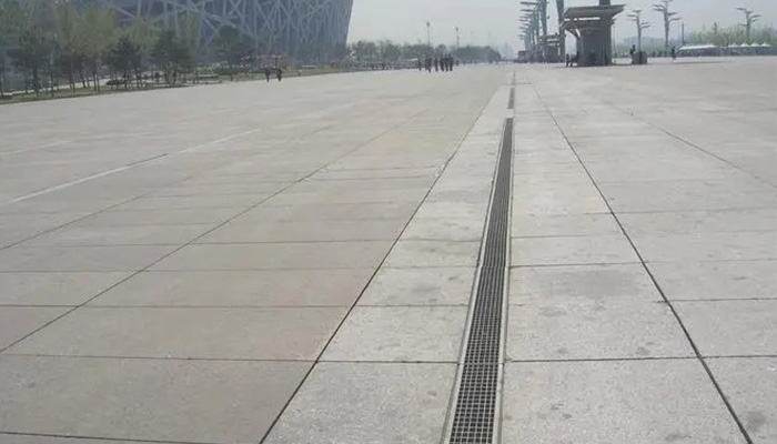 Stainless Ditch Cover